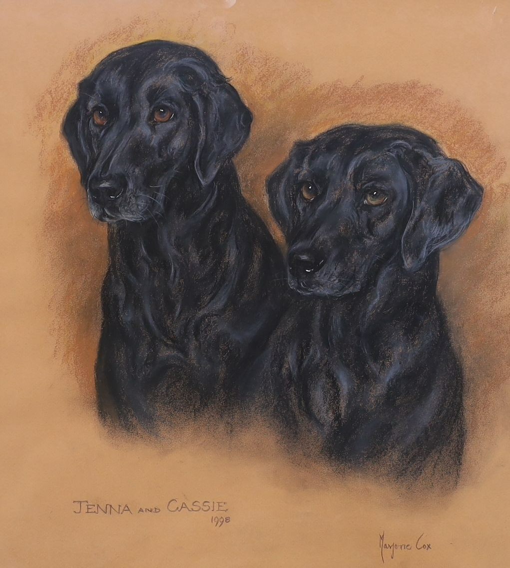 Marjorie Cox (1915-2003), pastel, Portrait of two black labradors, Jenna and Cassie, signed and dated 1998, 50 x 45cm